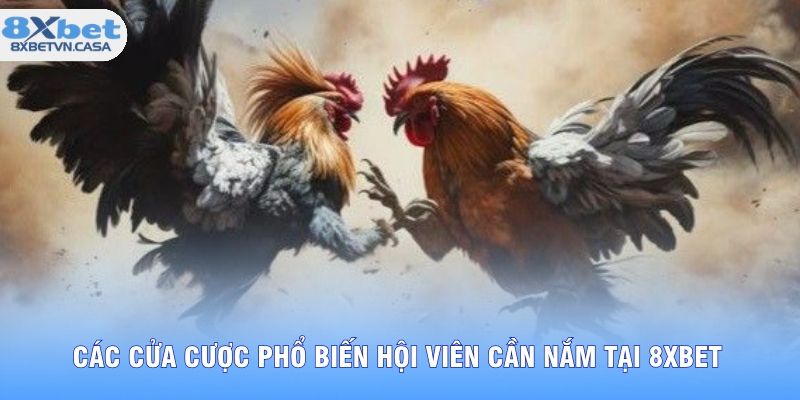Các cửa cược phổ biến hội viên cần nắm tại 8XBET