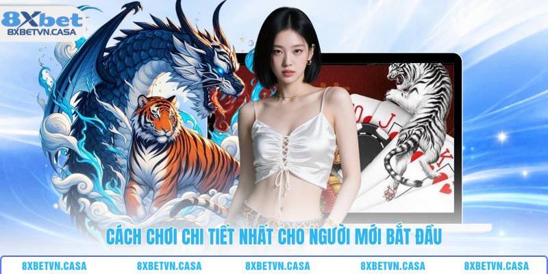 Cách chơi chi tiết nhất cho người mới bắt đầu
