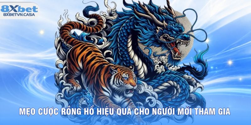 Mẹo cược rồng hổ hiệu quả cho người mới tham gia